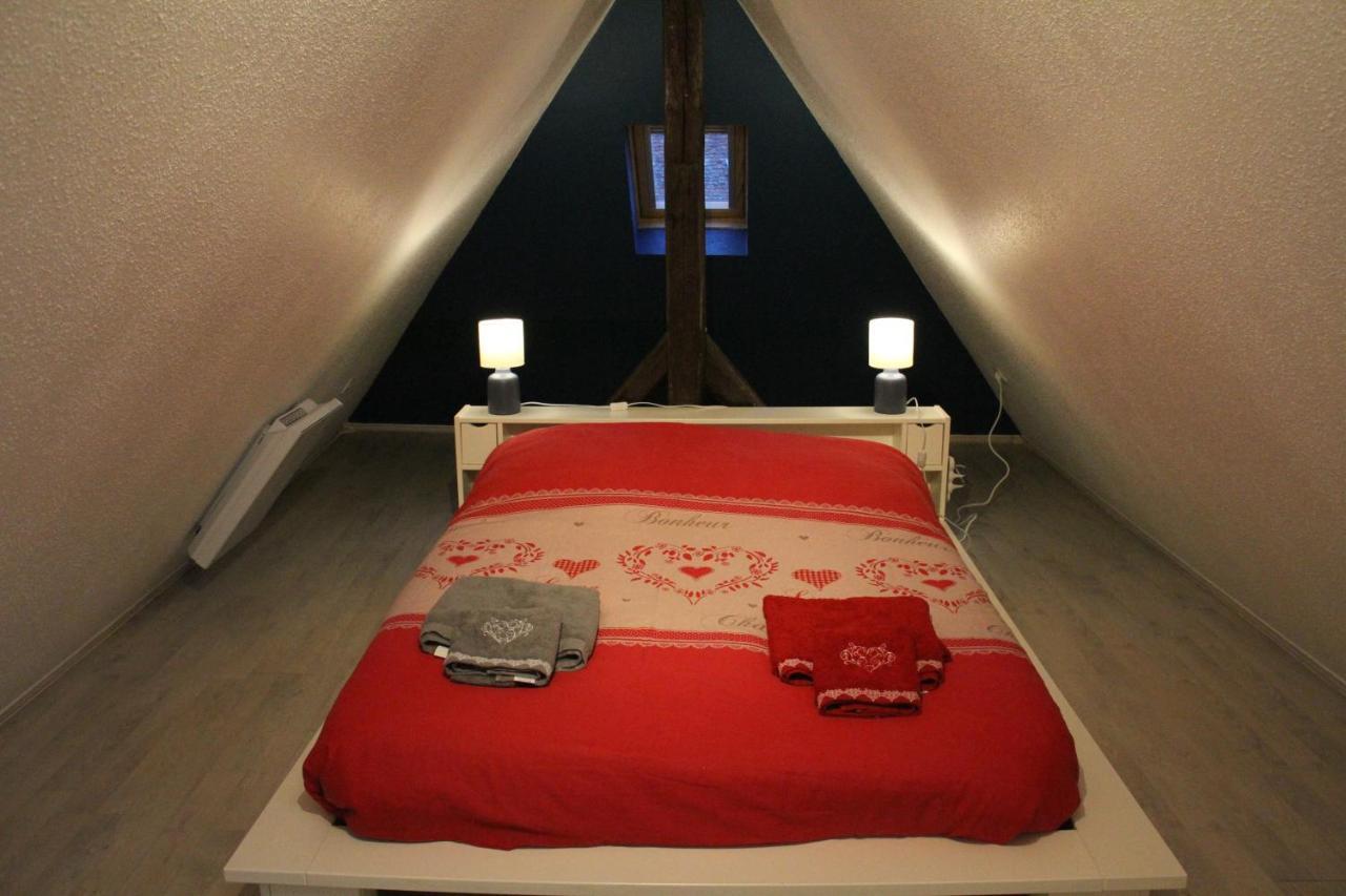 "Appartement Au Centre & Parking" Logement Petite Venise Colmar Ngoại thất bức ảnh