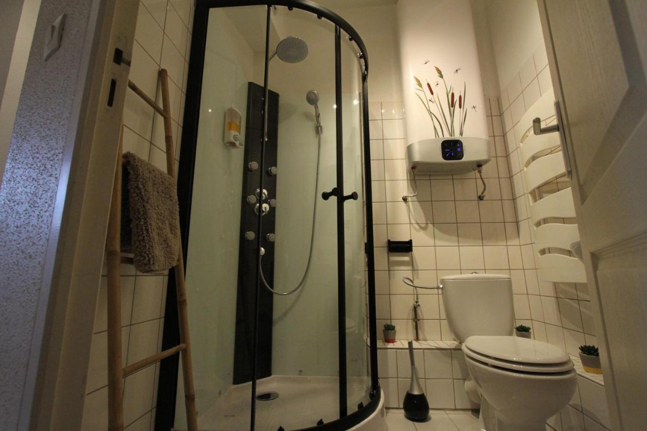 "Appartement Au Centre & Parking" Logement Petite Venise Colmar Ngoại thất bức ảnh