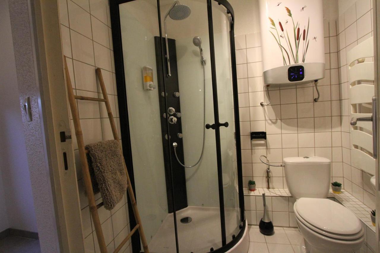 "Appartement Au Centre & Parking" Logement Petite Venise Colmar Ngoại thất bức ảnh