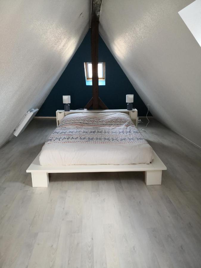 "Appartement Au Centre & Parking" Logement Petite Venise Colmar Ngoại thất bức ảnh