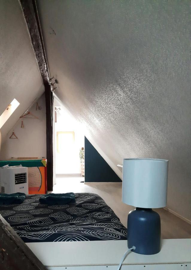 "Appartement Au Centre & Parking" Logement Petite Venise Colmar Ngoại thất bức ảnh
